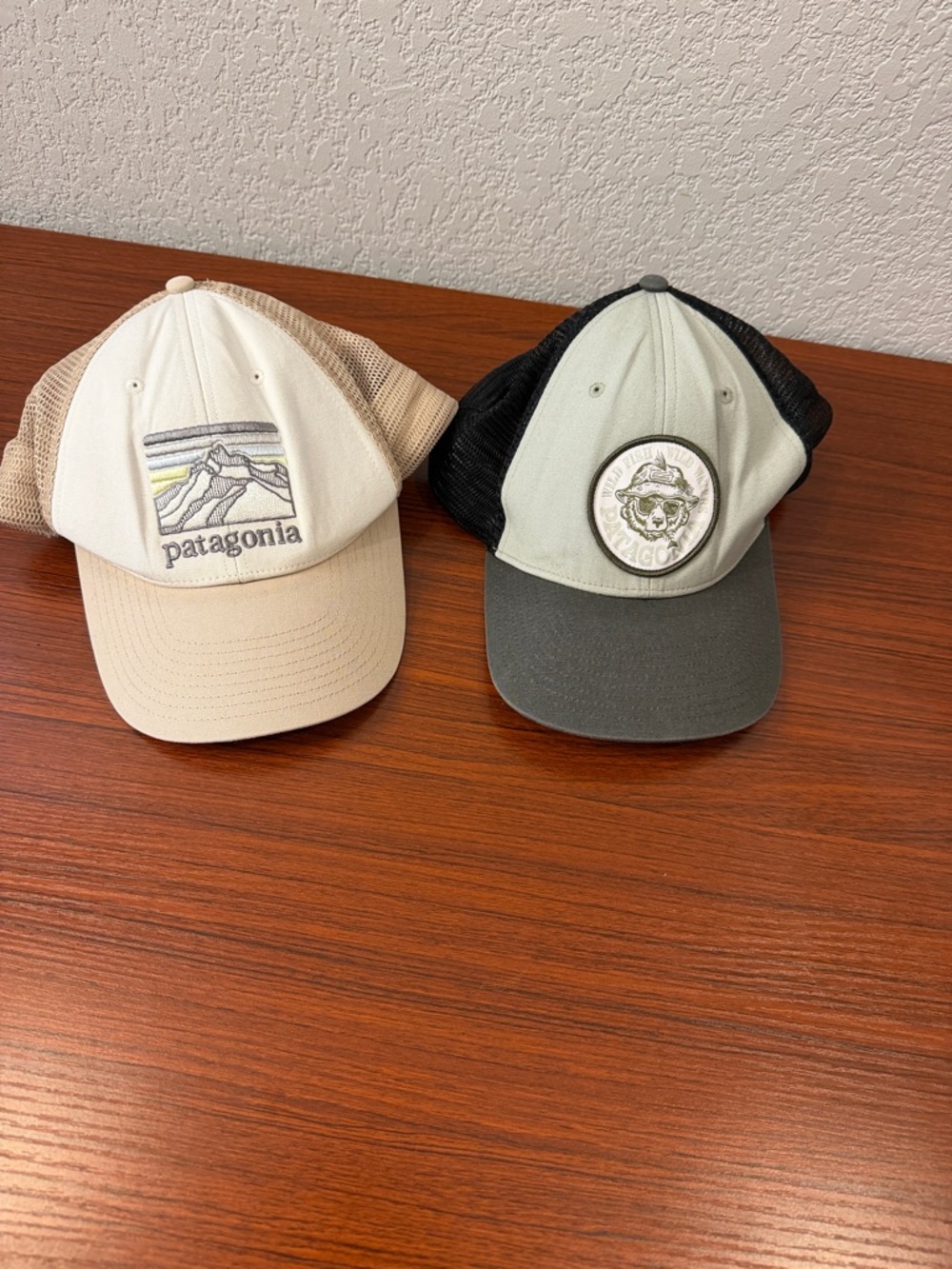 Patagonia  Beige and Gray Trucker Hats - Logo Patch Caps